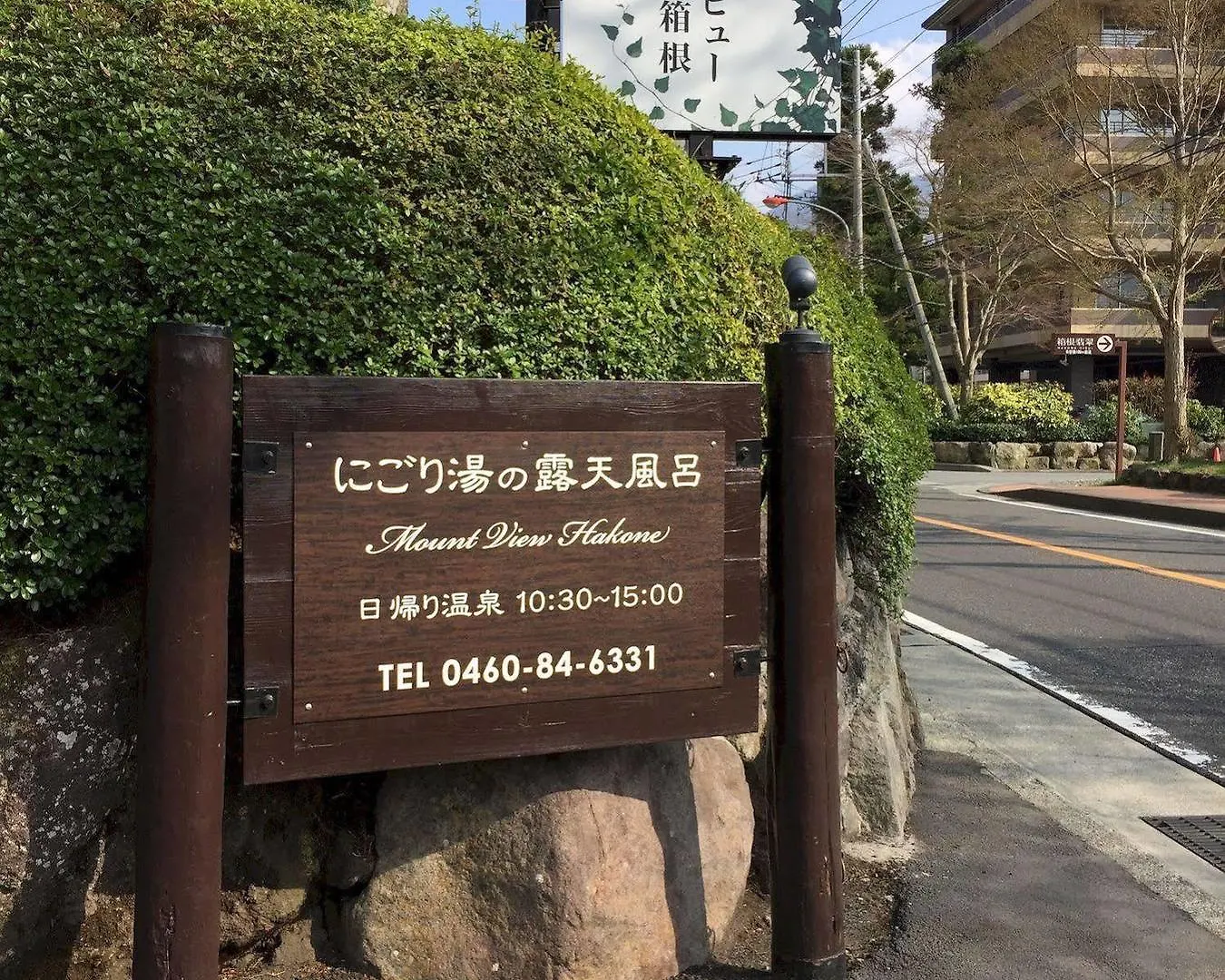 *** Ryokan Mount View Hakone Hotel Japan